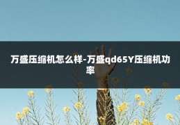 万盛压缩机怎么样-万盛qd65Y压缩机功率