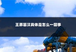 王莽篡汉具体是怎么一回事