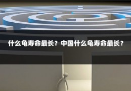 什么龟寿命最长?中国什么龟寿命最长?