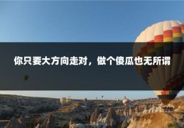 你只要大方向走对，做个傻瓜也无所谓