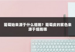 葡萄始来源于什么细胞?葡萄皮的紫色来源于细胞哪