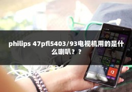 philips 47pfl5403/93电视机用的是什么喇叭？？