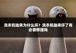 洗衣机轴承为什么坏?洗衣机轴承坏了有必要修理吗
