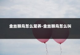 金丝猴鸟怎么笼养-金丝猴鸟怎么叫