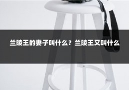 兰陵王的妻子叫什么？兰陵王又叫什么