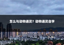 怎么与动物通灵？动物通灵自学