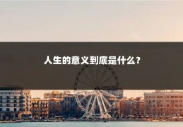 人生的意义到底是什么？