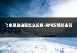 飞鱼星路由器怎么设置-如何安装路由器