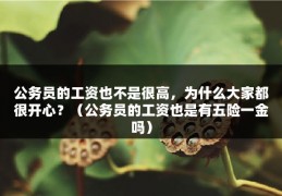 公务员的工资也不是很高，为什么大家都很开心？（公务员的工资也是有五险一金吗）