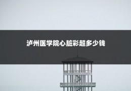 泸州医学院心脏彩超多少钱