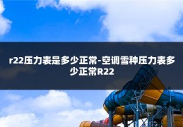 r22压力表是多少正常-空调雪种压力表多少正常R22