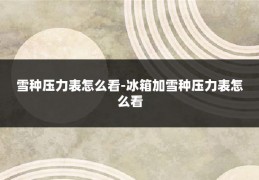 雪种压力表怎么看-冰箱加雪种压力表怎么看