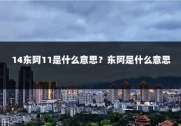 14东阿11是什么意思？东阿是什么意思