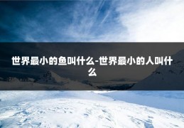 世界最小的鱼叫什么-世界最小的人叫什么