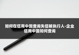 如何在信用中国查询失信被执行人-企业信用中国如何查询