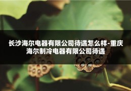 长沙海尔电器有限公司待遇怎么样-重庆海尔制冷电器有限公司待遇