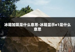 冰箱加氟是什么意思-冰箱显示e1是什么意思