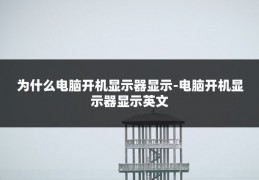 为什么电脑开机显示器显示-电脑开机显示器显示英文