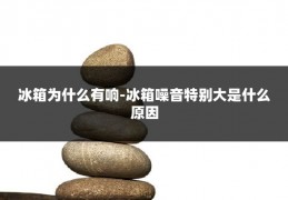 冰箱为什么有响-冰箱噪音特别大是什么原因