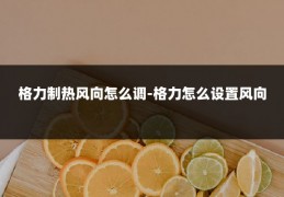 格力制热风向怎么调-格力怎么设置风向