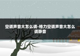 空调声音大怎么调-格力空调声音大怎么调静音
