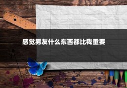 感觉男友什么东西都比我重要