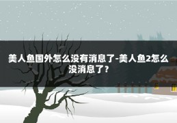 美人鱼国外怎么没有消息了-美人鱼2怎么没消息了?
