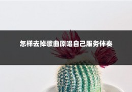 怎样去掉歌曲原唱自己服务伴奏