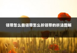 领带怎么叠领带怎么折领带的折法图解