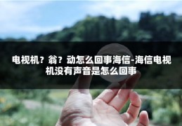 电视机？翁？动怎么回事海信-海信电视机没有声音是怎么回事