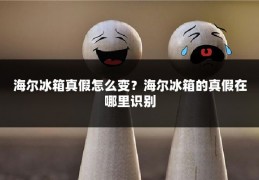 海尔冰箱真假怎么变?海尔冰箱的真假在哪里识别