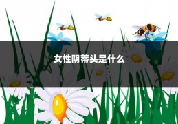 女性阴蒂头是什么
