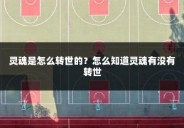 灵魂是怎么转世的?怎么知道灵魂有没有转世