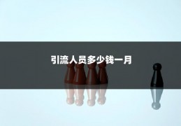 引流人员多少钱一月