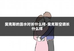 奥克斯的露水对长什么样-奥克斯空调长什么样