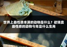 世界上最性感丰满的动物是什么？欲钱卖最性感的动物今年是什么生肖