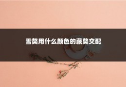 雪獒用什么颜色的藏獒交配