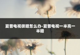 夏普电视很暗怎么办-夏普电视一半亮一半暗