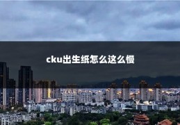 cku出生纸怎么这么慢