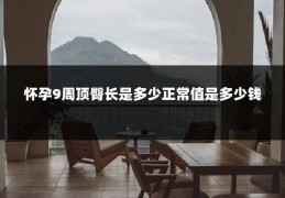 怀孕9周顶臀长是多少正常值是多少钱