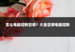 怎么电脑控制空调?大金空调电脑控制