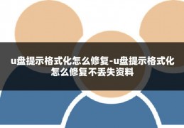 u盘提示格式化怎么修复-u盘提示格式化怎么修复不丢失资料