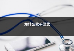 为什么秋千汉武
