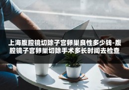 上海腹腔镜切除子宫卵巢良性多少钱-腹腔镜子宫卵巢切除手术多长时间去检查