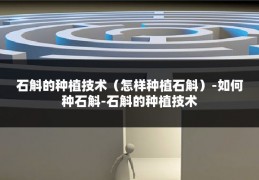 石斛的种植技术（怎样种植石斛）-如何种石斛-石斛的种植技术