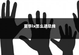 夏华lx怎么进总线