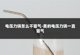 电压力锅怎么不冒气-美的电压力锅一直冒气