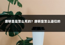 唐明皇是怎么死的？唐明皇怎么退位的