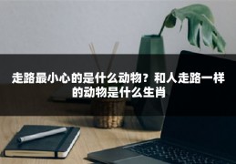 走路最小心的是什么动物?和人走路一样的动物是什么生肖