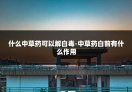 什么中草药可以解白毒-中草药白前有什么作用